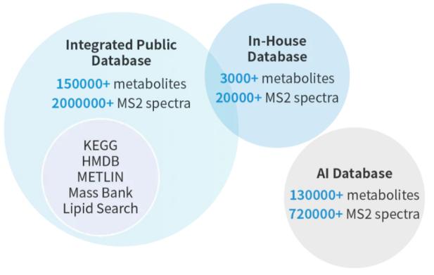 Why Choose MetwareBio’s Untargeted Metabolomics Service?